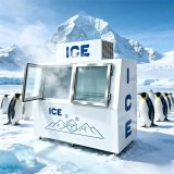 C-Top Mounted Condenser Double Door Ice Storage Freezer Fast Circulation Cooling Ice Storage Equipment