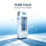 C-Vertical Single Door Ice Storage Freezer Fast Direct Cooling System Suitable for Bar and Seafood Stall