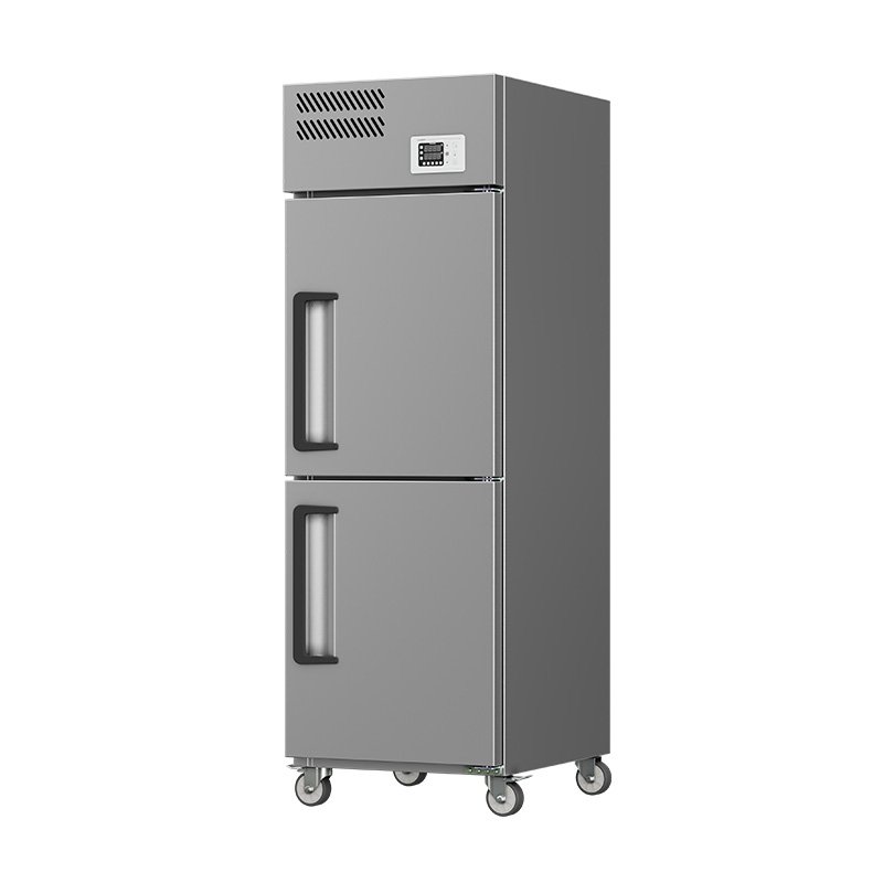 Kitchen Whole Set Refrigerator Equipment 2 Doors Fridges and Deep Freezers Kitchen