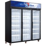 Glass Door Chiller showcase Wine and Beverage Coolers Commercial Refrigerator
