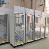 Single Glass Door Fridge Commercial Beverage Refrigerator Soft Beer Cooler