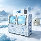 C-Double Door Ice Storage Freezer Anti-Rust Sprayed Cabinet Body for Convenience Store Ice Storage