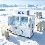 C-Fast Cooling Constant Low Temp Double Door Ice Storage Freezer Thick PU Foam Anti Melting Design
