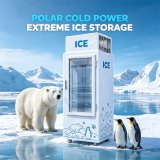 C-Fast Cooling Direct Cooling Anti-Rust Cabinet Single Door Ice Storage Freezer with Brake Universal Casters