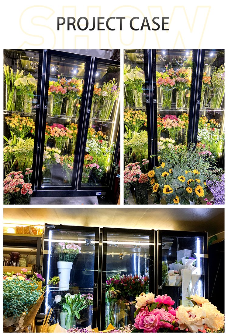 Flower Cooler Refrigerator Display Cabinet for Flower Shop