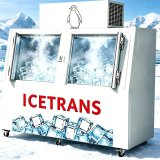 G-ICETRANS Double Solid Door Commercial Ice Storage Freezer