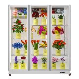 Fresh Flower Fridge Display Cooler Refrigerated showcase for Flower