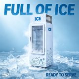 C-Fast Direct Cooling Digital Thermostat Single Door Ice Storage Freezer Thick PU Foam Anti-Melting Design