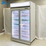 Glass Door Double Beer Fridge Freezer  Pepsi Fridge