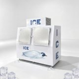 Heavy Duty Outdoor Ice Storage Freezer Solid Door Ice Merchandiser for Campground Convenience Store