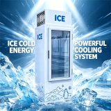 C-Digital Temperature Display Single Door Ice Storage Freezer Fast Direct Cooling Anti-Rust Spray Cabinet