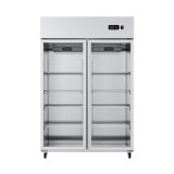 Industrial Kitchen Equipment Frizer Vertical Refrigerator Freezer