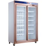 Commericial Beverage Beer Fridge Refrigerator for bar Beer showcase Refrigerator
