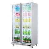Commercial  Refrigeration Equipment Display Refrigerator for Shop
