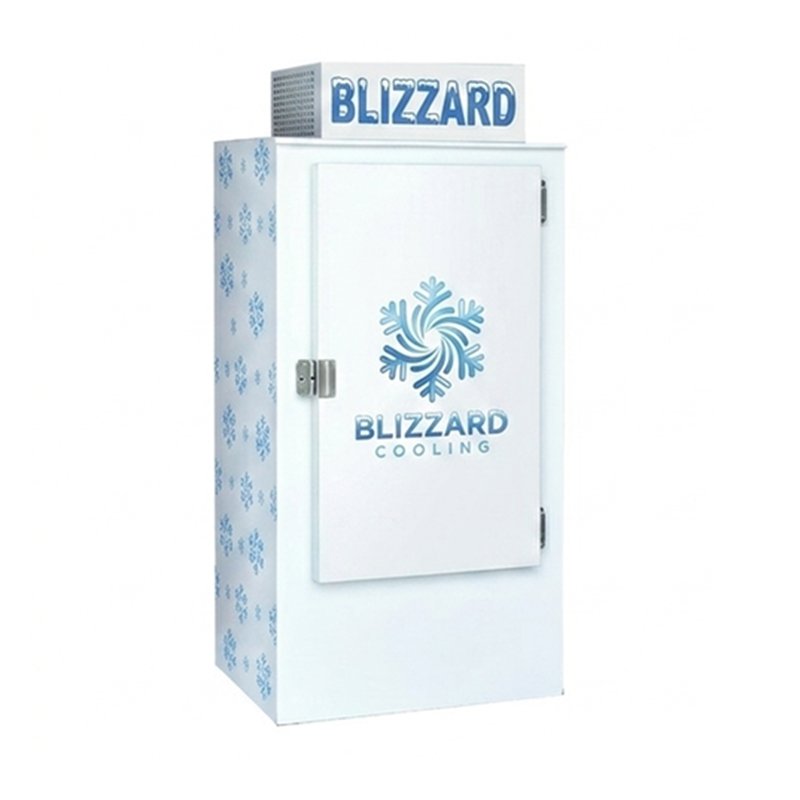 Factory Vertical Ice Merchandiser Top Compressor Lockable Solid Door Bagged Ice Storage Freezer Outdoor Use