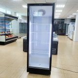 Refrigerators Freezers Gas Fridge Refrigeration Equipment for Shops