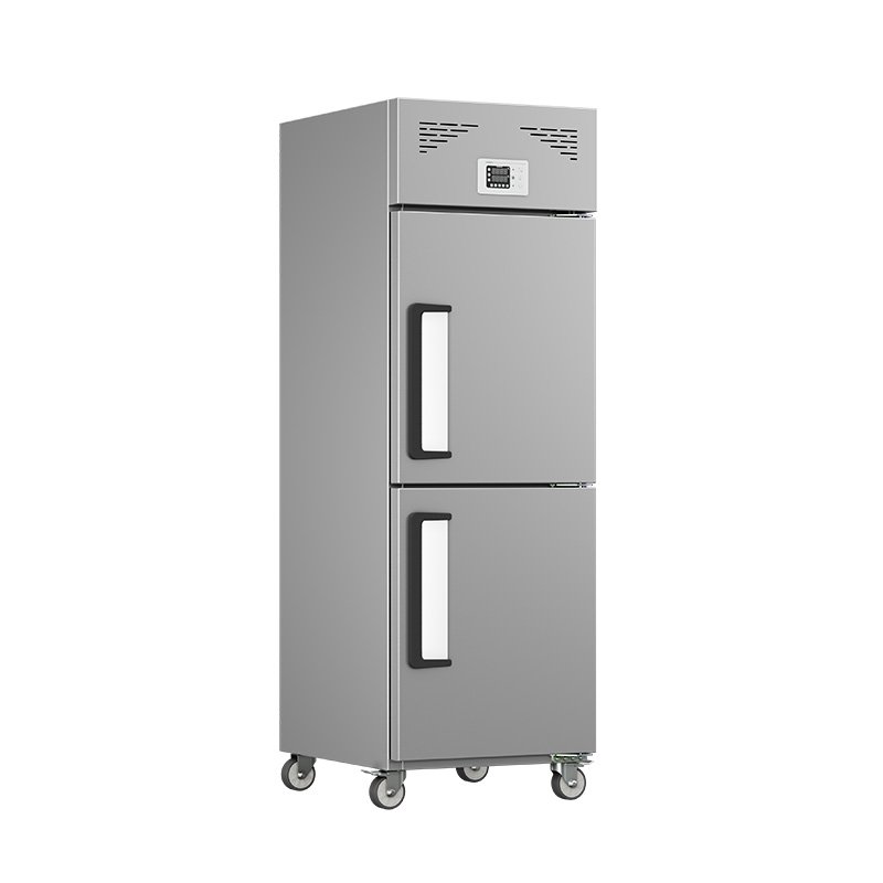 Freezing Equipment Stainless Steel Chiller Double Doors Freezer for Kitchen Project Use