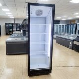 Refrigerators Freezers Gas Fridge Refrigeration Equipment for Shops