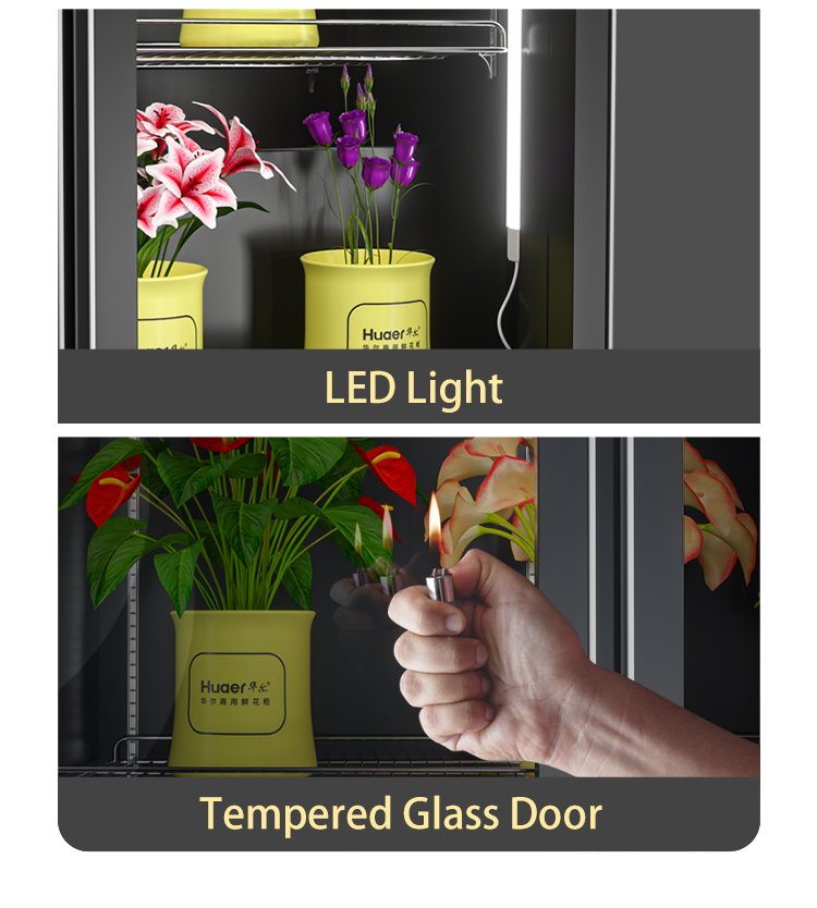 Flower Cooler Refrigerator Display Cabinet for Flower Shop