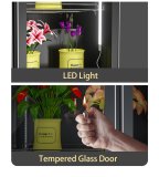 Flower Cooler Refrigerator Display Cabinet for Flower Shop