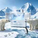 C-Fast Cooling Overheat Protection Double Door Ice Storage Freezer Vertical Ice Holding Equipment