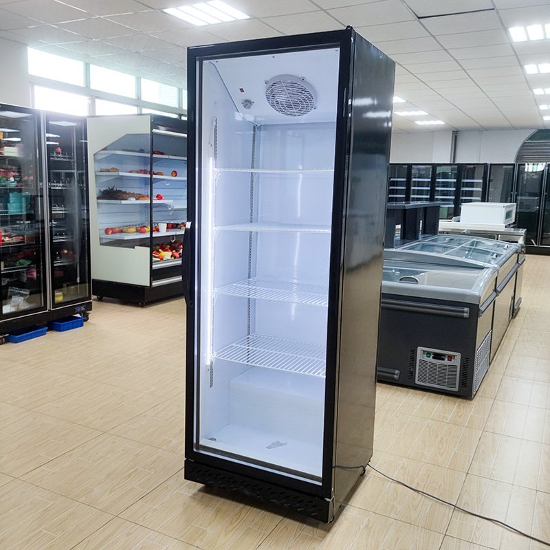 Refrigerators Freezers Gas Fridge Refrigeration Equipment for Shops