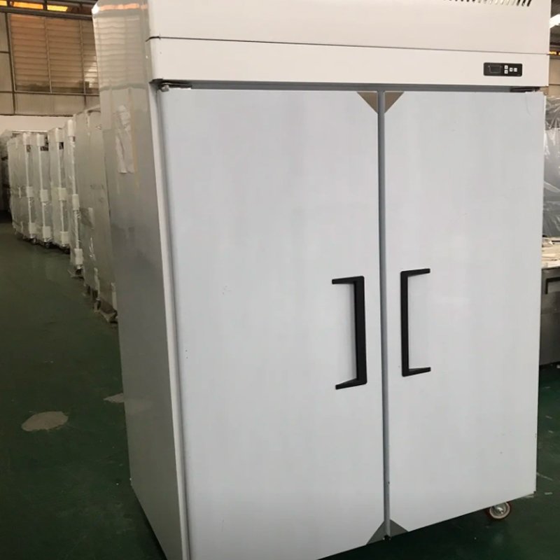 Commercial Kitchen Refrigerator 2 Vertical Double Doors Freezer Fresh-Keeping Air Cooling Single-Temperature Freezing Fridge