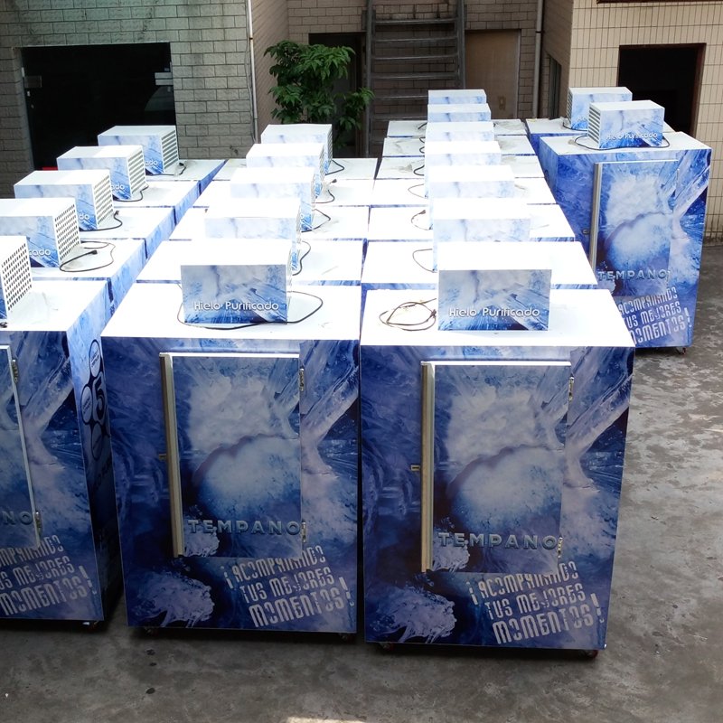 Custom Printed Vertical Ice Storage Freezer Single Solid Door Commercial Outdoor Ice Merchandiser for Convenience Shop