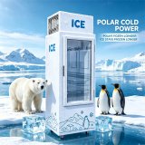C-Single Chamber Direct Cooling Ice Storage Freezer Fast Refrigeration Design with Adjustable Support Legs
